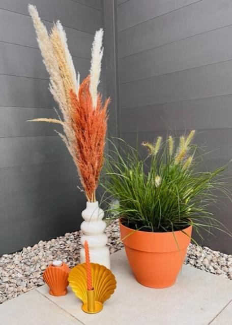 Charley'S Wellness Suite Westkapelle Exteriör bild