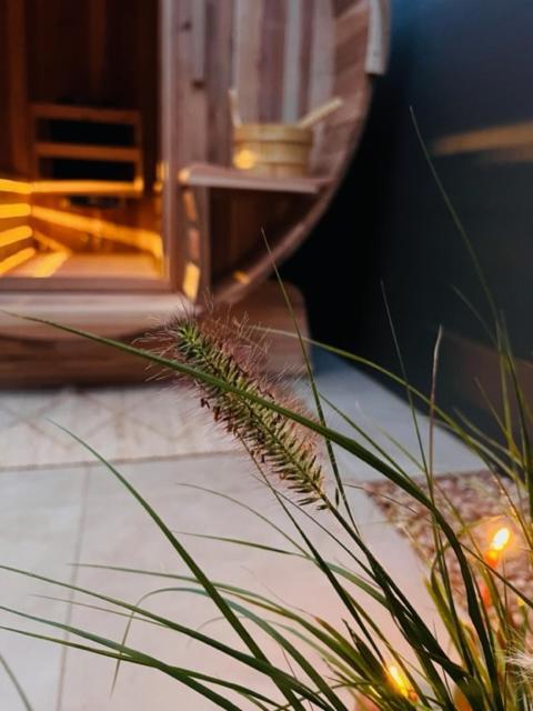 Charley'S Wellness Suite Westkapelle Exteriör bild